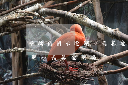 邮政信用卡逾期一天算逾期吗(邮政信用卡逾期一天算逾期吗)
