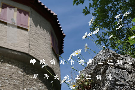 邮政信用卡逾期上征信几年会消(邮政银行逾期两天会上征信吗)