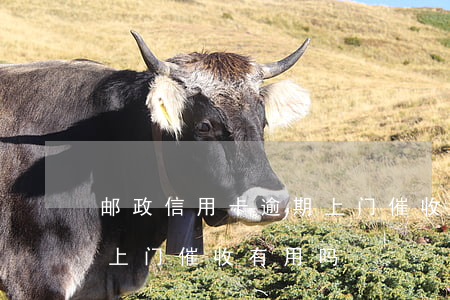 邮政信用卡逾期上门催收-邮政信用卡逾期上门催收有用吗