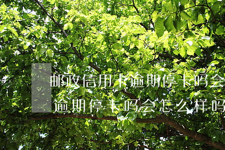 邮政信用卡逾期停卡吗会怎么样(邮政信用卡逾期停卡吗会怎么样吗)