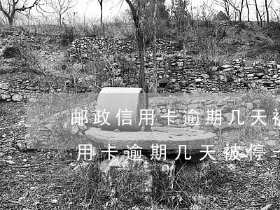 邮政信用卡逾期几天被停卡怎么办-邮政信用卡逾期几天被停卡怎么办理