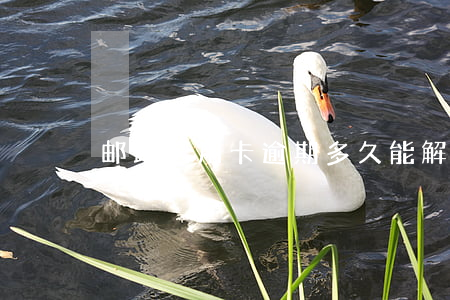 邮政信用卡逾期多久能解封(邮政银行卡解封)