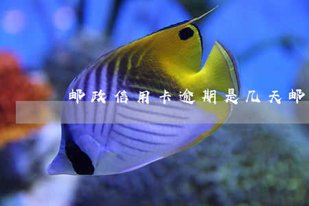 邮政信用卡逾期是几天(邮政逾期两天)