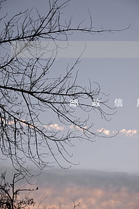 邮政信用卡逾期被冻结怎么办(邮政银行逾期)