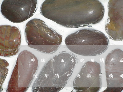 邮政信用卡逾期销户还能申请吗(邮政信用卡逾期销户还能申请吗吗)