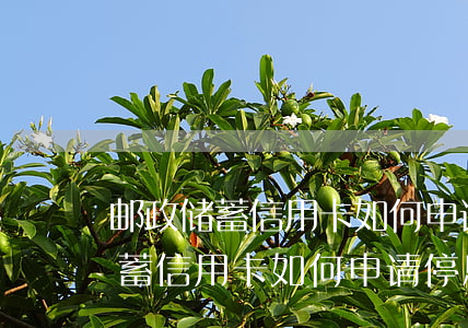 邮政储蓄信用卡如何申请停息挂账-邮政储蓄信用卡如何申请停息挂账业务