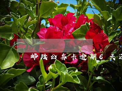 邮政公务卡逾期6天还款(邮政逾期一天)