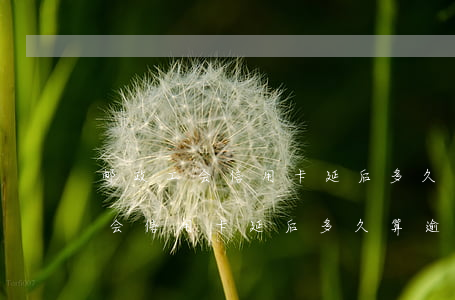 邮政工会信用卡延后多久算逾期记录（邮政工会信用卡延后多久算逾期）