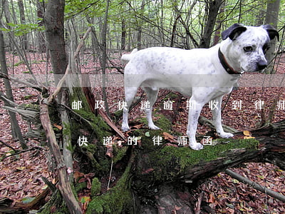 邮政快递逾期收到律师函(莫名其妙收到邮政快递的律师函)