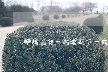 邮政房贷一次逾期下一次啥时候扣