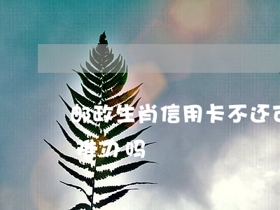 邮政生肖信用卡不还可以吗(邮政储蓄生肖卡难办吗)