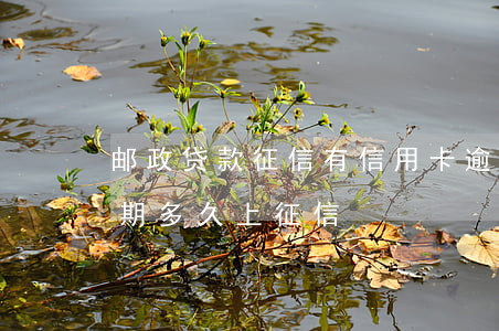 邮政贷款征信有信用卡逾期(邮政银行贷款逾期多久上征信)