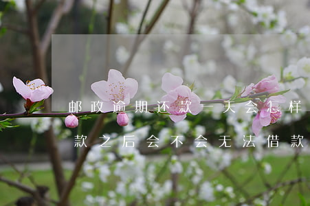 邮政逾期还款一天会怎样(邮你贷逾期一天还款之后会不会无法借款了)