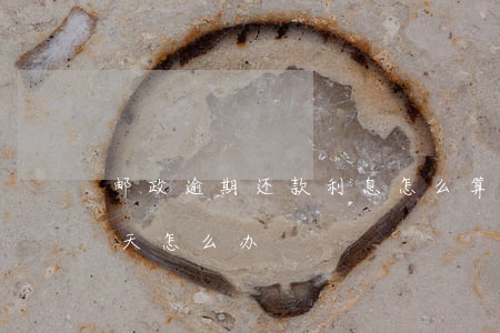 邮政逾期还款利息怎么算(邮政还贷款逾期一天怎么办)