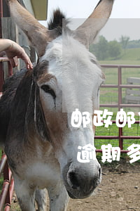 邮政邮你贷逾期以后多久才能借钱-邮你贷逾期多久上征信