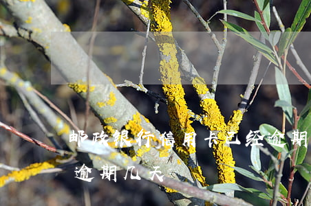 邮政银行信用卡已经逾期20天了-邮政卡逾期几天