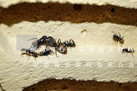 邮政银行可以协商还款吗每天-邮政银行可以协商还款吗每天几点扣款