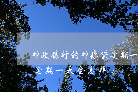 邮政银行的邮你贷逾期一天有事吗-邮你贷逾期一天会怎样