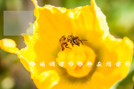 邯婚姻律师(邯郸在线律师)