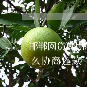 邯郸网贷逾期怎么协商还款(邯郸网贷逾期怎么协商还款)
