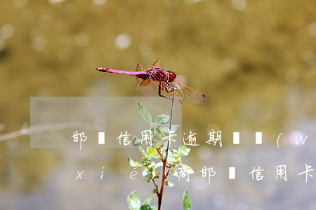 邯鄲信用卡逾期債務(wù)重組怎么協(xié)商(邯鄲信用卡逾期債務(wù)重組怎么協(xié)商延期)