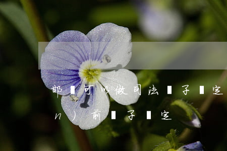 邯鄲可以做司法親子鑒定嗎(邯鄲產(chǎn)前親子鑒定)