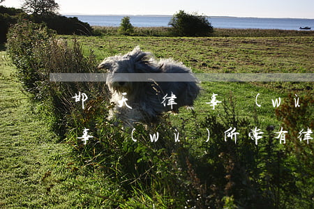 邯鄲天漢律師事務(wù)所(邯鄲天漢律師事務(wù)所常有律師)