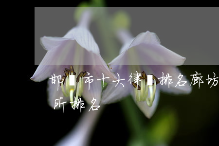 邯鄲市十大律師排名(廊坊律師事務(wù)所排名)