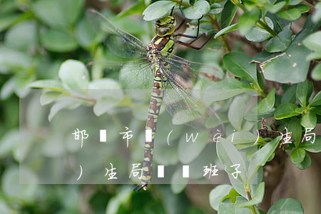 邯鄲市衛(wèi)生局(邯鄲市衛(wèi)生局領導班子)
