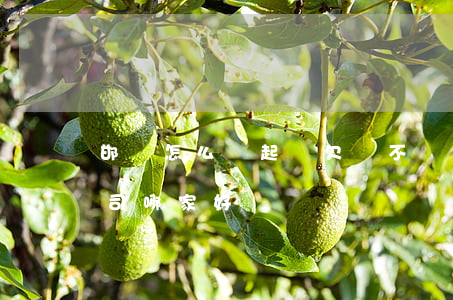 邯鄲怎么樣起訴欠錢不還的人-邯鄲催債公司哪家好