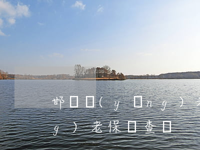 邯鄲養(yǎng)老保險(邯鄲養(yǎng)老保險查詢)