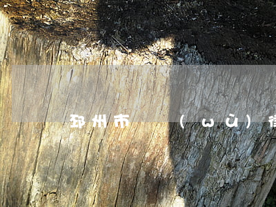 邳州市債務(wù)律師多少錢