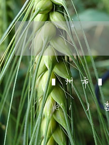 邳州市債務(wù)糾紛律師電話免費(fèi)咨詢-邳州法律咨詢事務(wù)所電話