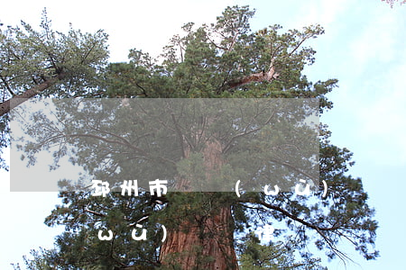 邳州市債務(wù)訴訟律師(邳州市債務(wù)訴訟律師)