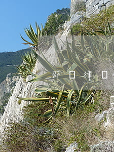 邵東律師收費(fèi)標(biāo)準(zhǔn)(邵東市最好的律師是誰)