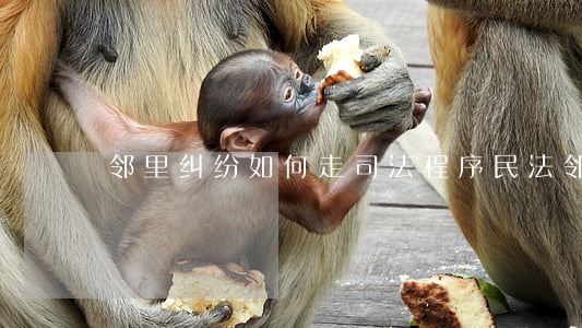邻里纠纷如何走司法程序(民法邻里纠纷)
