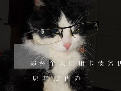 郑州个人信用卡债务优化停息挂账-郑州停息挂账代办