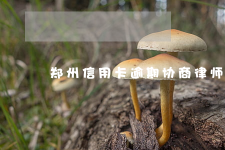郑州信用卡逾期协商律师