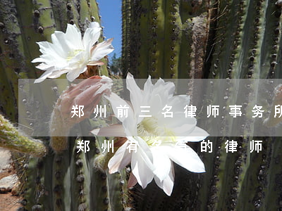 郑州前三名律师事务所(郑州律师事务所排名,郑州有名气的律师)