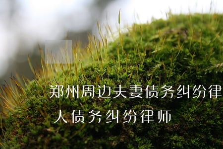 郑州周边夫妻债务纠纷律师诉讼费-郑州个人债务纠纷律师
