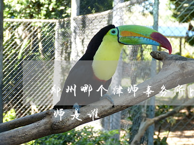 郑州哪个律师事务所比较出名(郑州最好的律师是谁)