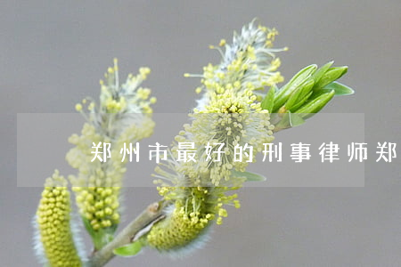 郑州市最好的刑事律师(郑州最厉害的律师)
