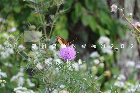 郑州律师收费标准2020(郑州民事诉讼律师收费标准)