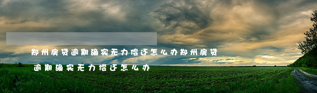 郑州房贷逾期确实无力偿还怎么办(郑州房贷逾期确实无力偿还怎么办)