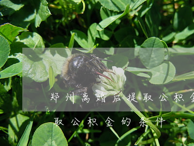 郑州离婚后提取公积金的条件(郑州离婚后提取公积金的条件)
