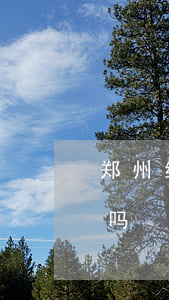 郑州继承遗产交税吗(中国继承遗产需要交税吗)