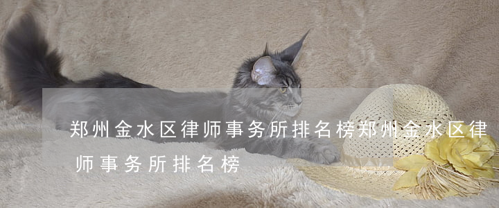 郑州金水区律师事务所排名榜(郑州金水区律师事务所排名榜)