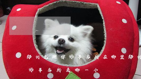 郑州龙湖律师事务所在哪里(郑州市最大的律师事务所是哪一个)