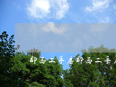 郧西二手房(郧西二手房产网)