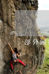 部分履行合同行为应当如何定性